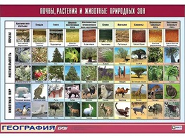Таблица демонстрационная "Почвы, растения и животные природных зон" (винил 70*100) - fgospostavki.ru - Тольятти
