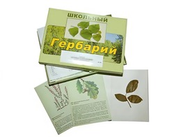 Гербарий "Дикорастущие растения" (30 видов, с иллюстрациями) - fgospostavki.ru - Тольятти