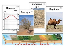 Модель-аппликация "Природные зоны" - fgospostavki.ru - Тольятти