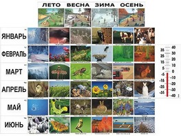 Фенологические наблюдения - fgospostavki.ru - Тольятти