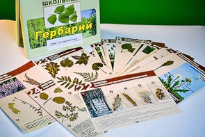 Гербарий к курсу основ общей биологии - fgospostavki.ru - Тольятти