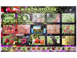 Комплект оборудования "Живой уголок" (растения) с тифлопереводом и сурдокомментариями - fgospostavki.ru - Тольятти