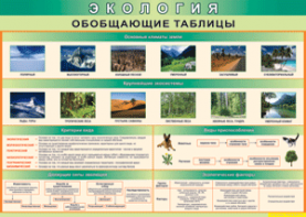 Таблица "Экология. Обобщающие таблицы" (100х140 сантиметров, винил) - fgospostavki.ru - Тольятти