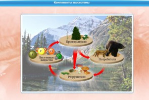 Интерактивные курсы. Биология 7 класс. Базовый. - fgospostavki.ru - Тольятти