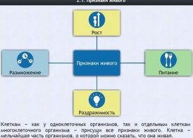 Интерактивные курсы. Биология 5 класс. Базовый - fgospostavki.ru - Тольятти