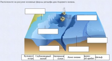 Интерактивные курсы. География 7 класс . Базовый. - fgospostavki.ru - Тольятти