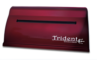 Принтер для печати рельефно-точечным шрифтом Брайля Trident - fgospostavki.ru - Тольятти