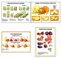 Плакаты ПРОФТЕХ "Ассортимент овощных культур" (12 пл, винил, 70х100) - fgospostavki.ru - Тольятти