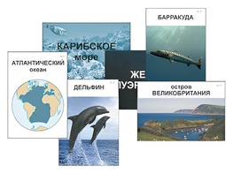 Модель-аппликация "Океаны. Знакомство" (ламинированная) - fgospostavki.ru - Тольятти