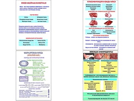 Плакаты ПРОФТЕХ "Классификации и виды мяса" (4 пл, винил, 70х100) - fgospostavki.ru - Тольятти