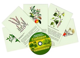 Интерактивный наглядный комплекс "Гербарий "Для начальной школы" - fgospostavki.ru - Тольятти