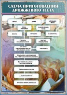 Стенд "Схема приготовления дрожжевого теста" - fgospostavki.ru - Тольятти