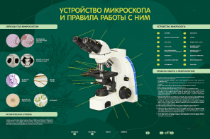 Электрифицированный стенд "Устройство микроскопа и правила работы c ним" - fgospostavki.ru - Тольятти