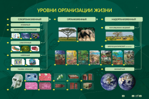 Электрифицированный стенд "Уровни организации жизни" - fgospostavki.ru - Тольятти