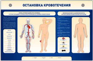 Электрифицированный стенд-тренажер "Остановка кровотечения" - fgospostavki.ru - Тольятти