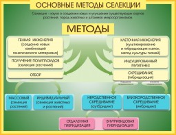 Стенд "Методы селекции и биотехнологии" - fgospostavki.ru - Тольятти