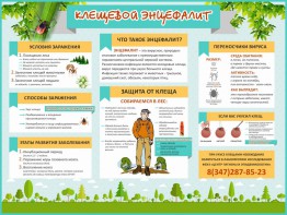 Стенд "Клещевой энцефалит" - fgospostavki.ru - Тольятти