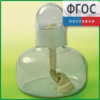 Спиртовка демонстрационная - fgospostavki.ru - Тольятти