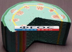 Модель "Стебель растения" - fgospostavki.ru - Тольятти