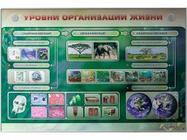 Электрифицированный стенд "Уровни организации жизни" - fgospostavki.ru - Тольятти