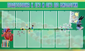 Стенд "Подготовка к ЕГЭ и ОГЭ по биологии" Вариант 2 - fgospostavki.ru - Тольятти