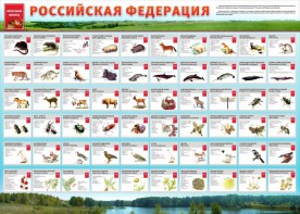 Стенд "Красная книга РФ" - fgospostavki.ru - Тольятти