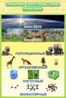 Стенд "Уровни организации живого" - fgospostavki.ru - Тольятти