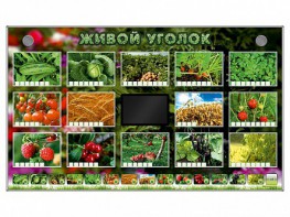Комплект оборудования "Живой уголок" (растения) - fgospostavki.ru - Тольятти