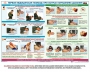 Комплект плакатов "Оказание первой доврачебной медицинской помощи" - fgospostavki.ru - Тольятти