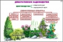 Комплект кодотранспарантов "Культурные растения" - fgospostavki.ru - Тольятти