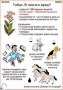 Комплект кодотранспарантов "Ядовитые растения" - fgospostavki.ru - Тольятти